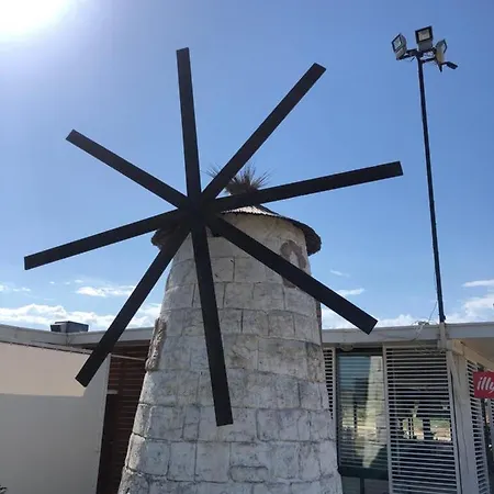 Celebrity Exclusive Cacao Daire *