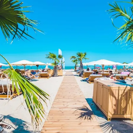 Celebrity Exclusive Cacao Daire *