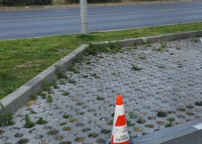 Celebrity Exclusive Cacao * Sunny Beach