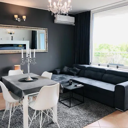 Celebrity Exclusive Cacao