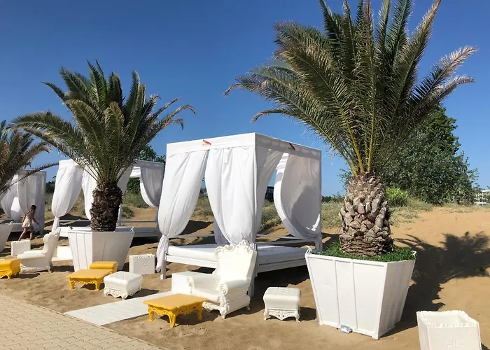 Celebrity Exclusive Cacao * Slăntjev Brjag